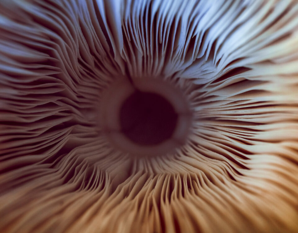 Equipamentos usados em laboratórios de estudo psicodélico Equipamentos usados em laboratórios de estudo psicodélico