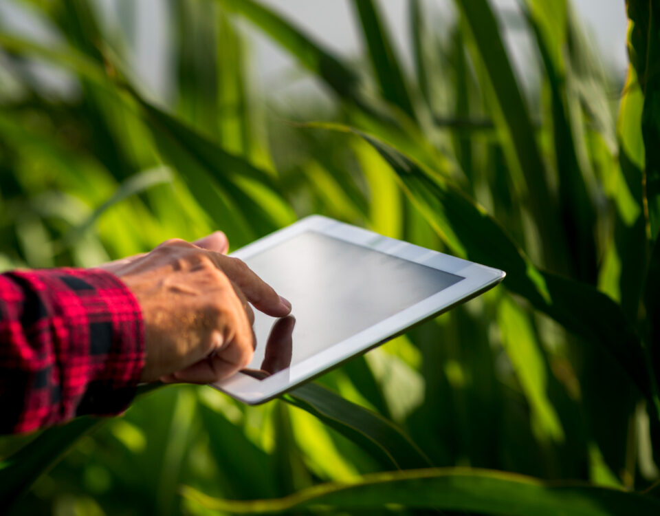 Máquinas agrícolas conectadas: o que são e como funcionam? Máquinas agrícolas conectadas: o que são e como funcionam?