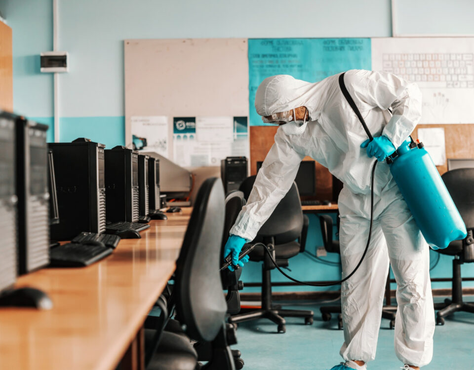 Cupins e eletrônicos: como proteger fiações internas Cupins e eletrônicos: como proteger fiações internas