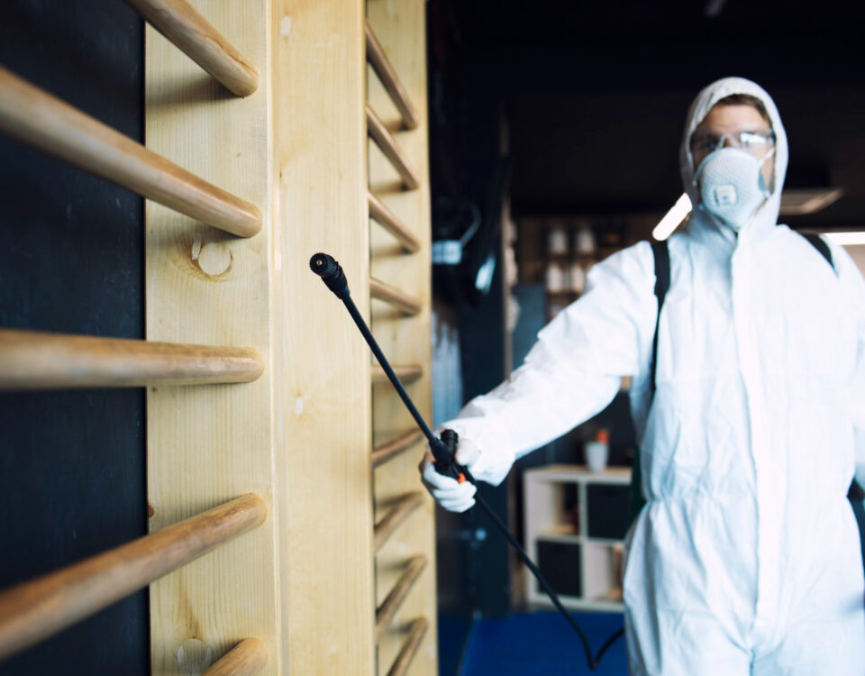 Equipamentos eletrônicos no combate à barata alemã